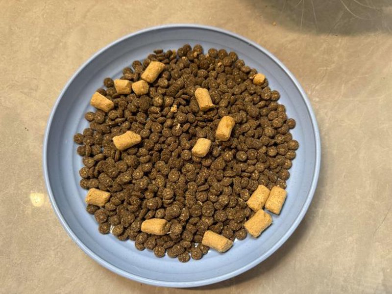 宠物快乐零食：为你的毛小孩提供丰富选择