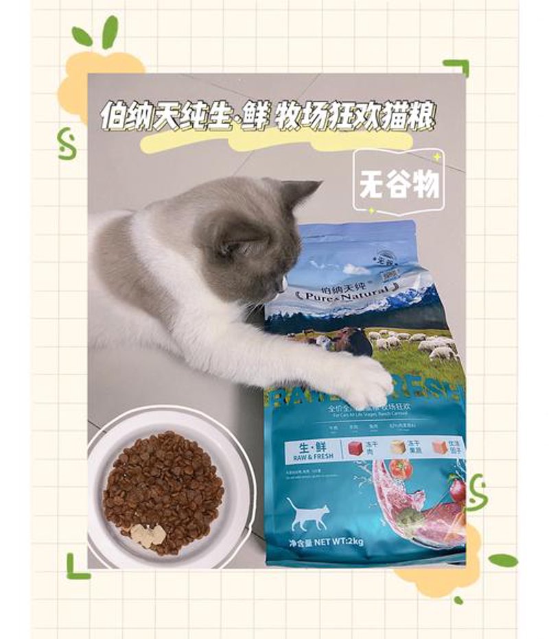 宠物玩具：创新与市场动态