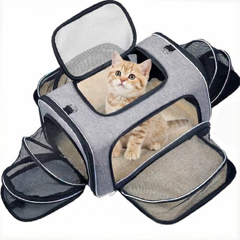 猫咪的口粮新选择：猫粮行业最新趋势解析