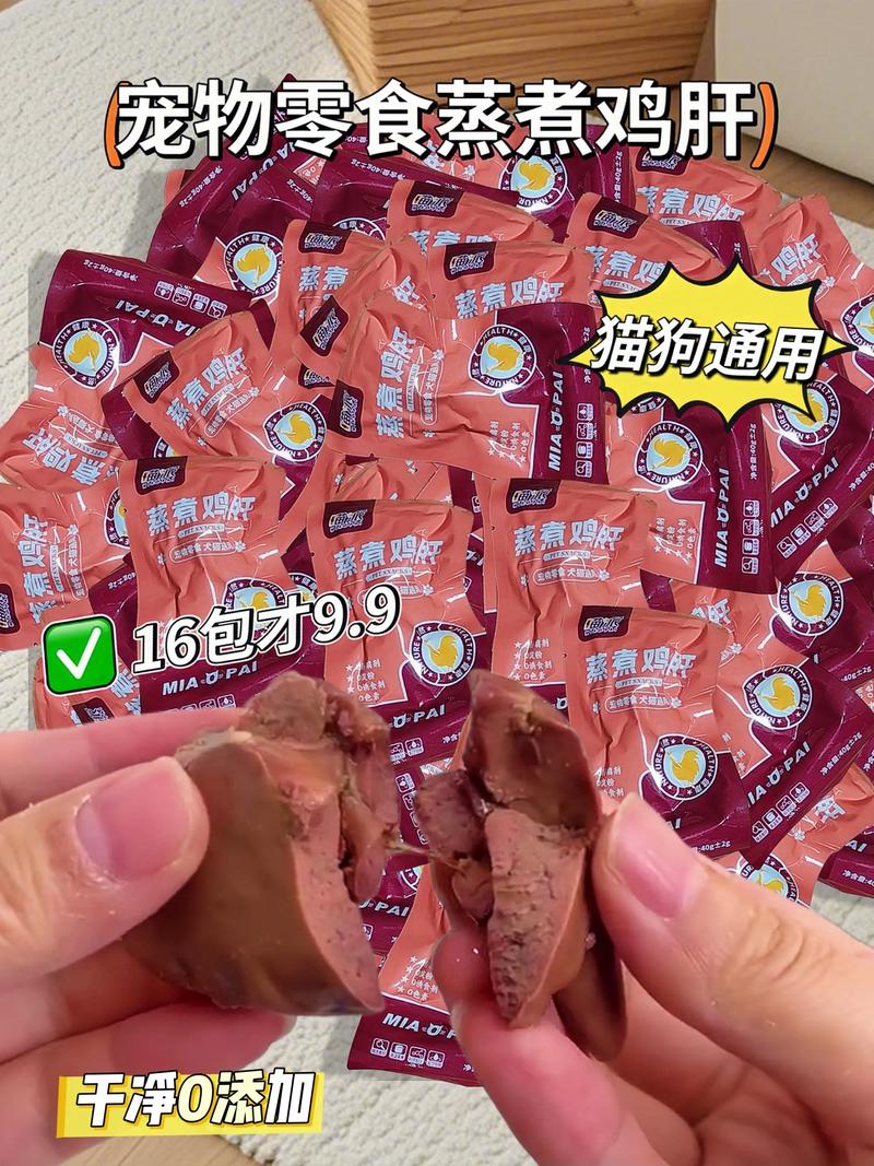 宠物寄养