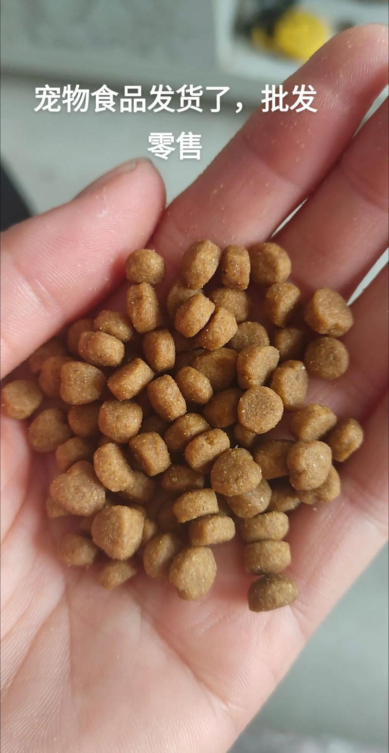 狗粮——爱情的甜蜜调味剂